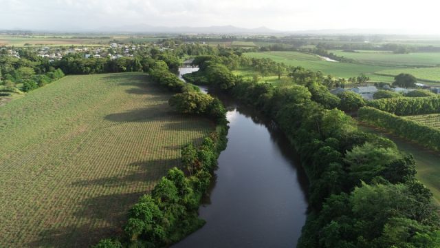 Green landscape in reef catchment.