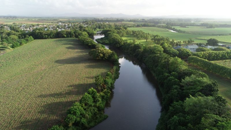 Green landscape in reef catchment.
