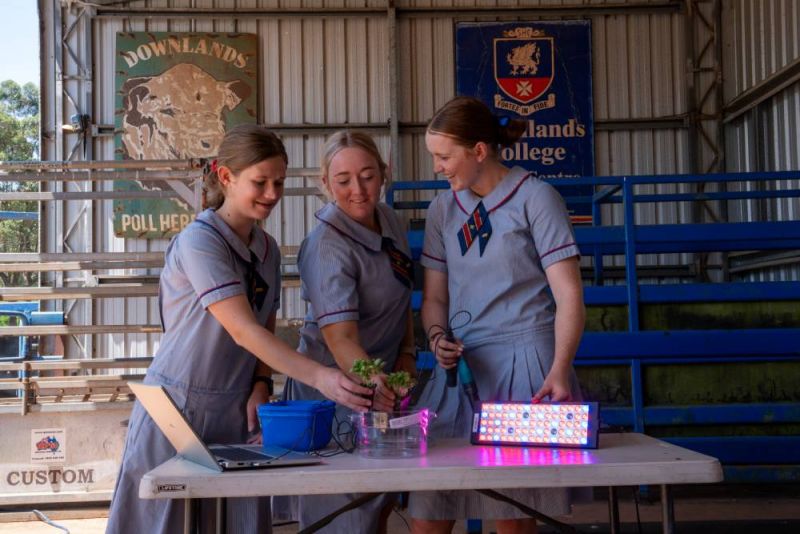 Three female high school students doing a science experiment on a plant.