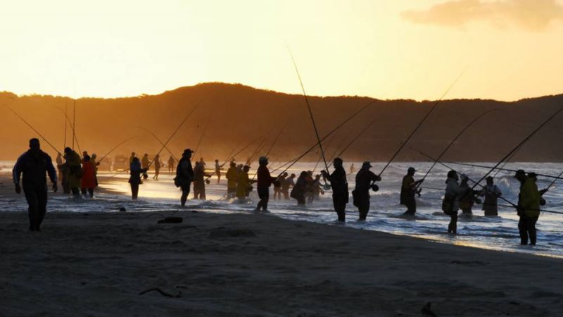 A group of recreational fishers at dusk on K'gari.