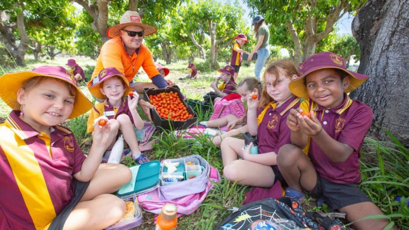 Primary school children at a picnic holding up cherry tomatoes.
