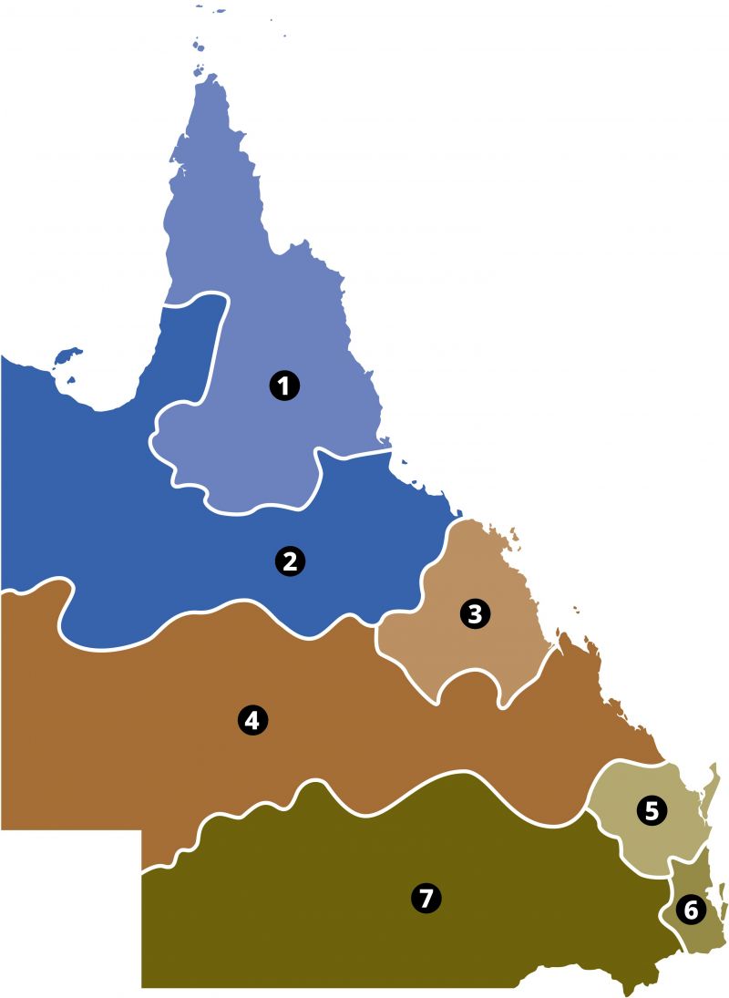 Map of Queensland showing 3 regions, and the sub-regions included in those groups. The Northern Queensland region is divided into Far North Queensland and North and Western Queensland. The Central Queensland region is divided into Central Queensland and Mackay, Isaac and Whitsunday. The Southern Queensland region is divided into 3 sub-regions: Wide Bay Burnett, South East Queensland, and the Darling Downs and South West.