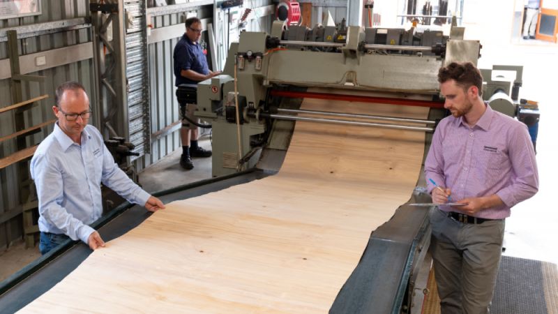 Two people inspecting a sheet of timber veneer on machinery inside a processing facility.